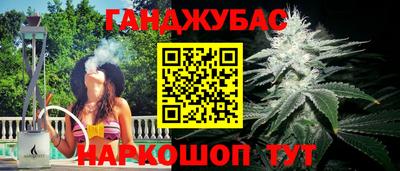 сатива Гатчина