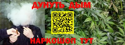 винт Гай