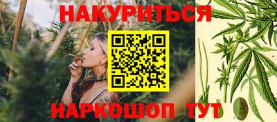 сатива Гатчина