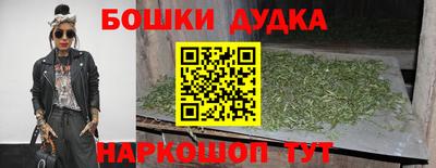 сатива Гатчина