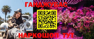 сатива Гатчина