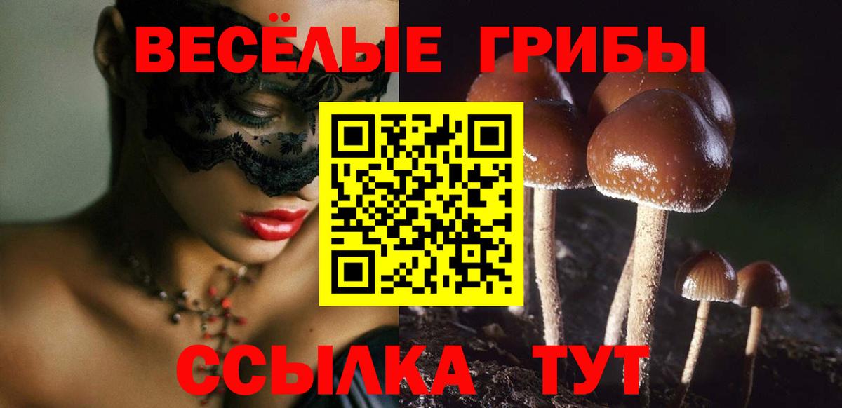 Псилоцибиновые грибы MAGIC MUSHROOMS  где купить наркотик  Карачаевск  Вход с VPN 
